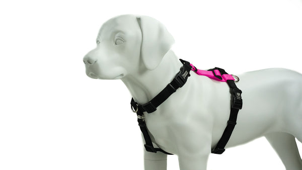 Top paw clearance adjustable harness