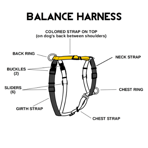 Blue-9 Balance Harness